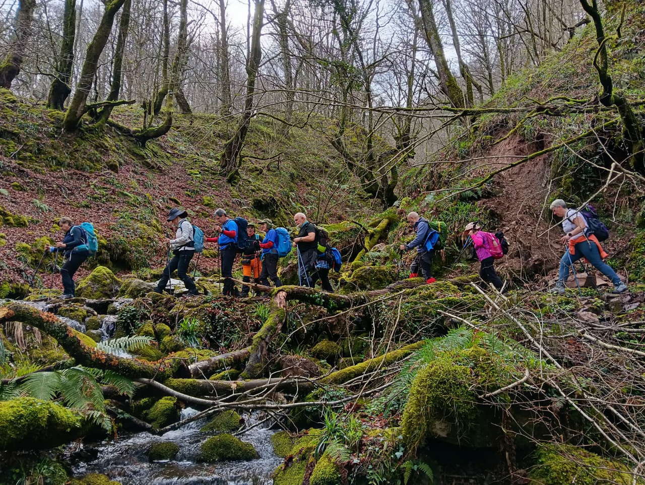 WhatsApp Image 2026-03-08 at 19.34.45 (1)